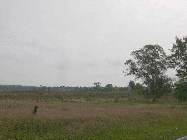 RTF Meckelfeld 2009 033